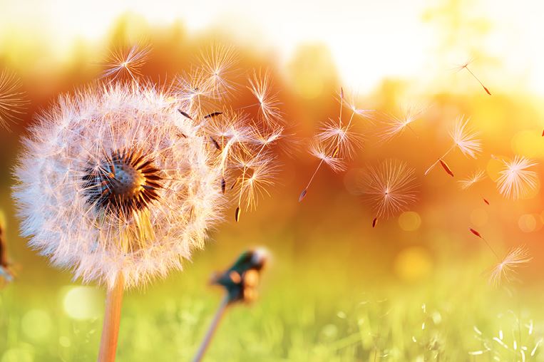 A bright, calm living space designed to reduce allergens through airflow, organization, and thoughtful materials